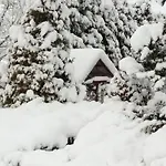 U Milosza Διαμέρισμα *