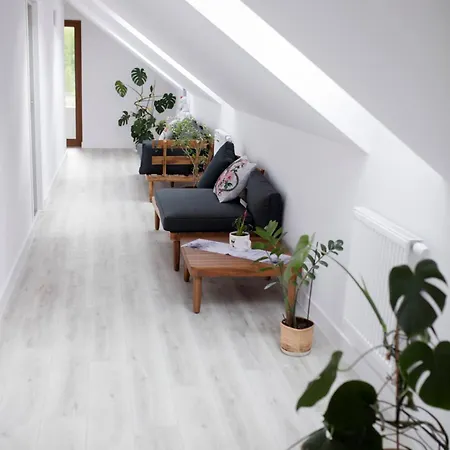 Apartament U Miłosza *