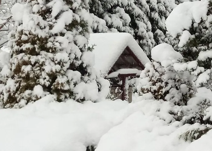 U Milosza Apartment *