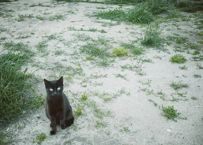 Apartment U Milosza *